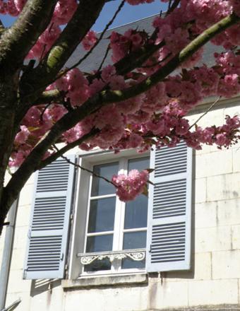 La Closerie Saint Jacques Loches Exterior photo